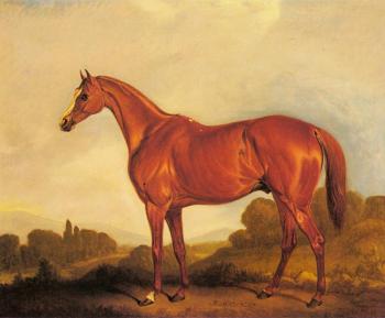 約翰 弗恩利 A Portrait of the Racehorse Harkaway, the Winner of Goodwood